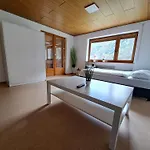 Апартаменты Montafon Valley Санкт-Галленкирх